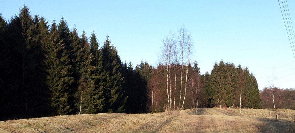 20120114_144103